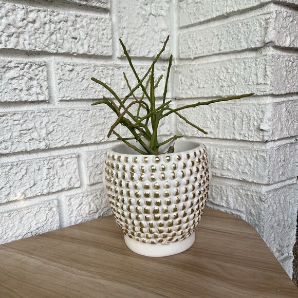 Buddha Head Face Concrete Planter Flower Pot White Gold Hobnail Textured Figural - Picture 11 of 14